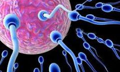 ���Բ���