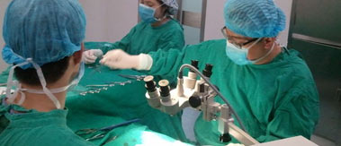 ��ʹ��Ƥ������