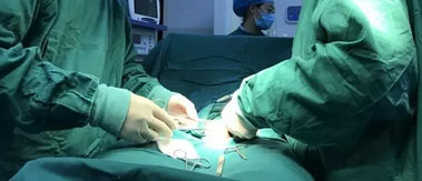 ����ϵ��������ֲ����