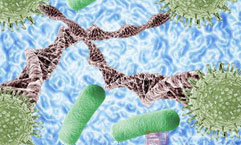 �Դ�������